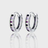 S925 Sterling Silver Zircon Rainbow Earrings