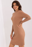 Elegant Fitted Pencil Dress with Long Sleeves and Neckline