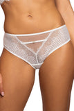 Lace and Mesh Classic Cut Women's Panties with Cotton Gusset