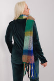 Colorful Plaid Scarf with Tassels for Fall and Winter