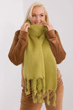 Smooth Textured Scarf with Tassels for Fall and Winter