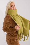 Smooth Textured Scarf with Tassels for Fall and Winter