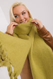 Smooth Textured Scarf with Tassels for Fall and Winter
