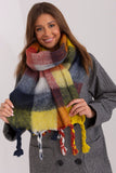Colorful Plaid Scarf with Tassels for Fall and Winter