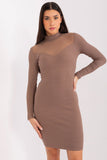 Elegant Pencil Dress with Transparent Back and Long Sleeves