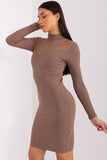 Elegant Pencil Dress with Transparent Back and Long Sleeves