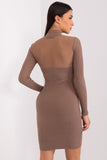 Elegant Pencil Dress with Transparent Back and Long Sleeves