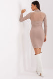 Elegant Transparent Neckline Pencil Dress for All Occasions