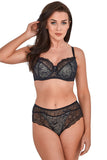 Lace & Mesh Full Cut Women's Panties with Lined Front