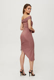 Metallic Knit Tube Dress with Adjustable Hem and Neckline