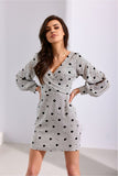 Elegant Mini Dress with Deep Neckline and Long Sleeves