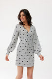 Elegant Mini Dress with Deep Neckline and Long Sleeves