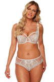 Elegant Classic Fig Panties with Lace and Mesh Details