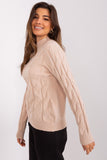 Casual Sophisticated Women's Turtleneck Sweater