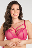 Elegant Lace & Tulle Bra with Perfect Bust Support