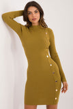 Elegant Turtleneck Knitted Pencil Dress for Everyday Style