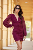 Elegant V-Neck Dress with Draped Skirt and Long Sleeves