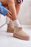 Trendy Insulated Snow Boots with Eco Suede & Fur Lining