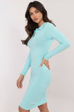 Chic Everyday Bodycon Dress with Elegant Collar and Buttons