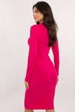 Chic Bodycon Dress with Elegant Collar for Casual Outings
