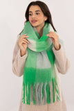 Elegant Check Pattern Scarf with Tassels for Cold Weather