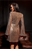 Shimmering A-Line Mini Dress with Elegant V-Neck and Sleeves
