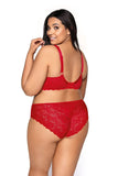 Seductive Red Lace & Mesh Big Panties for Ultimate Comfort