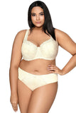 Elegant Cream Lace Panties with Airy Mesh Sides