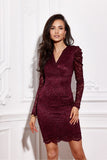 Elegant Lace Mini Dress with Long Puff Sleeves and Zipper