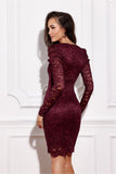 Elegant Lace Mini Dress with Long Puff Sleeves and Zipper
