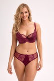  Semi-soft model 221778 Gaia 