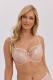  Semi-soft model 222895 Gaia 