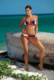 American Dream Style Bikini with Padded Cups and Stars