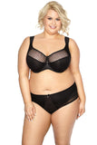 Elegant Embroidered Classic Briefs with Mesh Sides