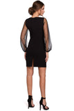 Polka Dot Mesh Sleeve Mini Dress with Concealed Zipper
