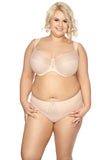Elegant Embroidered Mesh Ladies Panties with Bow