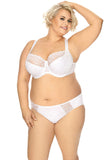 Elegant Microfiber Panties with Embroidered Mesh Detail
