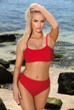 Fashionable High Cut Two-Piece Swimsuit in Juicy Colors
