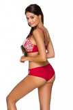 Elegant Microfiber and Lace Classic Panties for Women