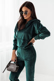 Velour Tracksuit Set with Hooded Sweatshirt and Trousers