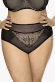 Elegant Lace and Mesh Embroidered Panties