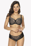 Elegant Lace-Trimmed Mesh Panties with Tulle Accents