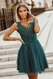Chic Lace Dress with Flared Bottom and Minimalistic Mesh