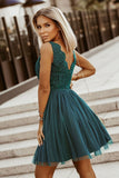 Chic Lace Dress with Flared Bottom and Minimalistic Mesh