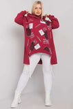 Maroon Hooded Sweatshirt with Print and Applique