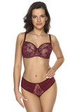 Elegant Mesh Embroidered Sensual Bra with Underwire