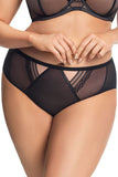 Elegant Mesh and Tulle Triangle Cut Panties