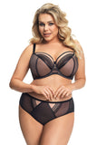 Elegant Mesh and Tulle Triangle Cut Panties