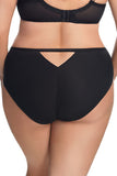Elegant Mesh and Tulle Triangle Cut Panties