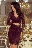 Elegant Dark Plum Lace Dress with Long Sleeves